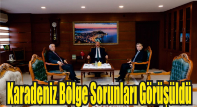 Karadeniz Bölge Sorunları Görüşüldü