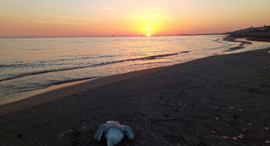 O İlde Spor ve Sağlık Turizmi Atağı 