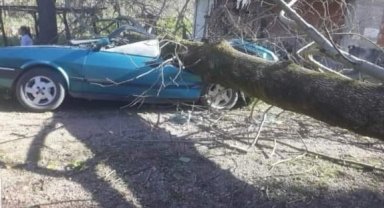 Ordu'da fırtına hayatı olumsuz etkiledi