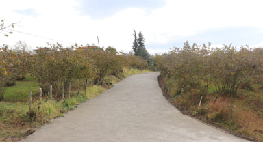 Piraziz’de Yol Atağı