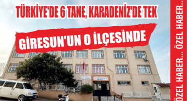 Türkiye'de 6 Tane, Karadeniz'de Tek Giresun'un O İlçesinde