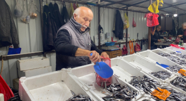 Yerli Hamsiye İlgi Yoğun