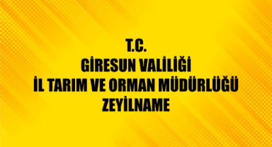 ZEYİLNAME