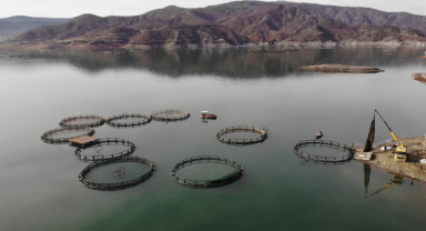 Denizi Olmayan Kentten Somon İhracatı  