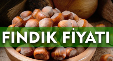 Fındık Fiyatları Canlanıyor