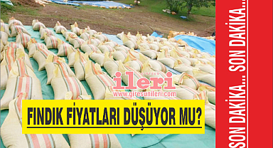 Fındık Fiyatları Düşüyor mu? Fındık Fiyatları Ne Kadar?