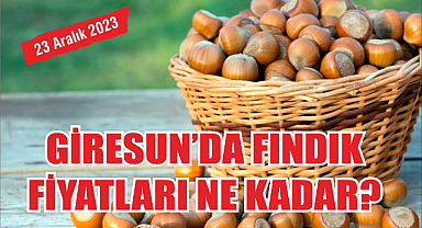 Giresun'da Fındık Fiyatları Yükselişe Mi Geçti? İşte Güncel Fiyatlar