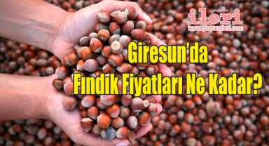 Fındık Fiyatları Ne Kadar?