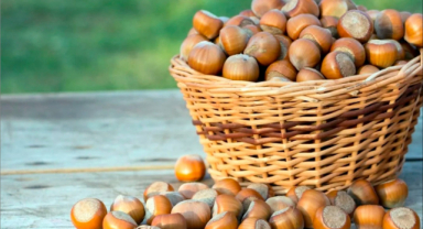 Fındık Fiyatlarında Son Durum Ne?