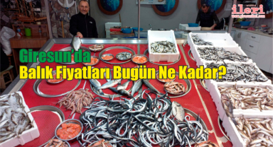 Giresun’da Balık Fiyatları Bugün Ne Kadar?