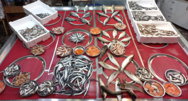 Giresun'da Balık Fiyatları Bugün Ne Kadar?