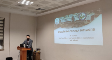 Giresun'da Bebek Ölüm Vakaları Değerlendirildi