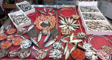 Giresun Güncel Balık Fiyatları