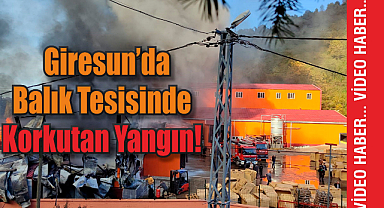 Giresun'un O İlçesinde Korkutan Yangın!