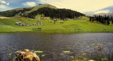Giresun'un O Yaylası Yeniden Hayat Buldu