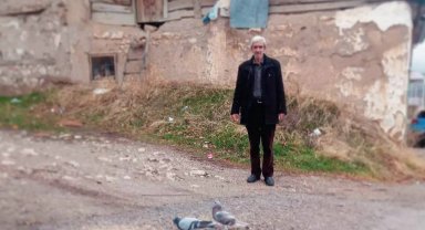 İbiş'in Güvercinlerle Kurduğu Eşsiz Bağ