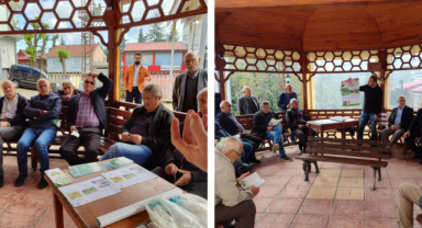 Kahverengi Kokarcaya Karşı Bilgilendirildiler