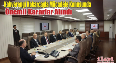 Kahverengi Kokarcayla Mücadelede Önemli Kararlar Alındı
