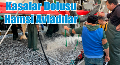 Kasalar Dolusu Hamsi Avladılar