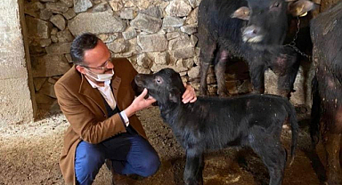 Manda Yetiştiricilerine Müjdeli Haber