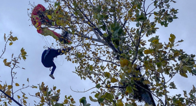 Paraşütçü Rüzgarın Etkisiyle Ağaç Dallarına Takıldı