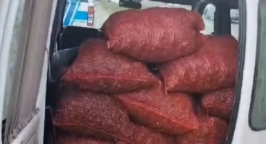Samsun’da Kaçak Midye Operasyonu