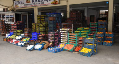 Giresun Sebze Meyve Hali'nde 12 Ayın Bilançosu: İşte Rakamlar!