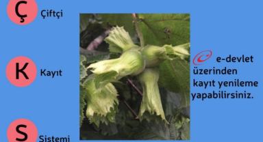 Son Gün 2 Ocak!