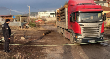 Üzerine Tomruk Düşen Kamyon Sürücüsü Öldü