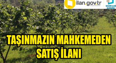 Taşınmazın mahkemeden satış ilanı