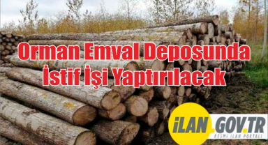 Orman Emval Deposunda İstif İşi Yaptırılacak