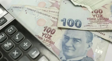 Aile Destek Ödemeleri Hesaplara Ne Zaman Yatırılacak, Nasıl Sorgulanır?