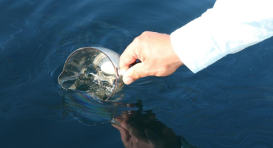 Bütün umutları denizden çıkacak petrolde   