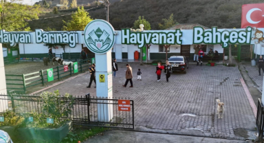 Can dostlarımızın güvenli yuvası: Giresun Belediyesi