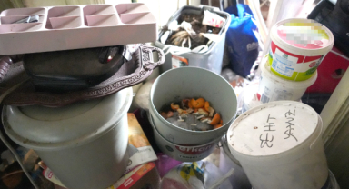 Çöp evi görenler hayrete düştü