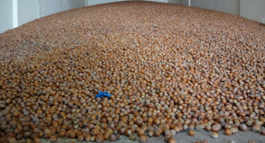 Giresun bölge ihracatında 3. sırada yer aldı 