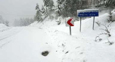 Doğu Karadeniz'de 209 köy yoluna kar engeli!