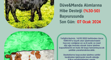 Düve Hibe Fırsatında Son Günler!