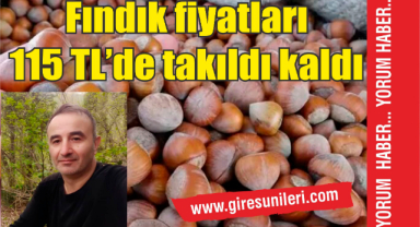 Fındık fiyatları 115 TL'de takıldı kaldı