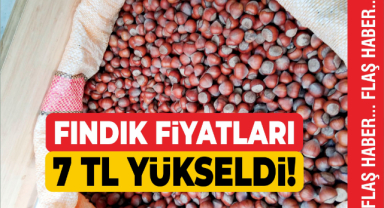Fındık Fiyatları 7 TL Yükseldi!