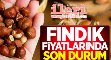 Fındık fiyatları ne kadar?
