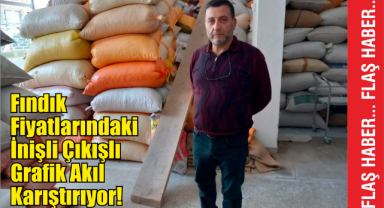 Fındık fiyatları tepetaklak!