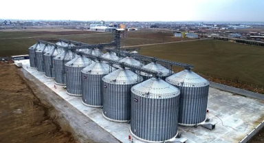 Fındık Üreticilerini Sevindiren Destek Paketi