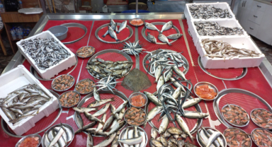 Giresun'da balık fiyatları bugün ne kadar?