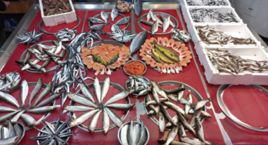 Giresun'da Balık Fiyatları Bugün Ne Kadar?