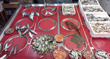 Giresun'da balık fiyatları ne kadar?