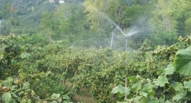 Giresun'da hibe desteği müracatları başladı