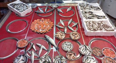 Giresun'da güncel balık fiyatları 