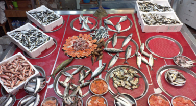Giresun'da balık fiyatları ne kadar?