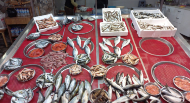 Giresun güncel balık fiyatları